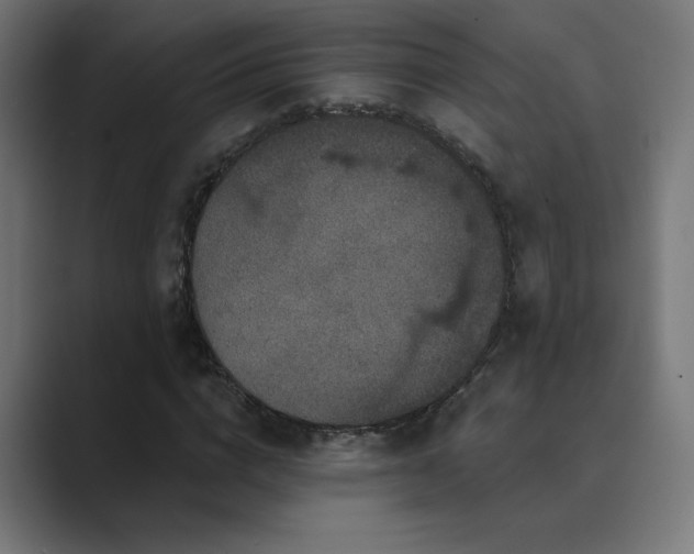 X0000089960824200706291228