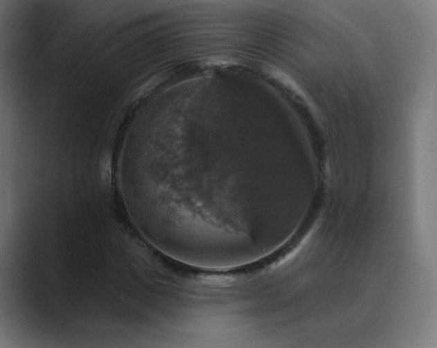 X0000089960825200706291228