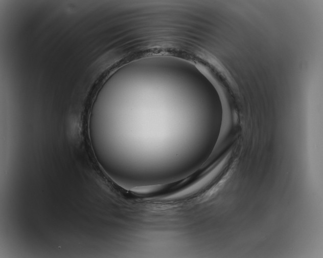 X0000089960826200706291228
