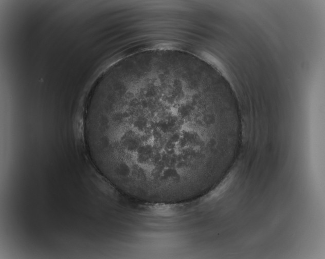 X0000089960827200706291228