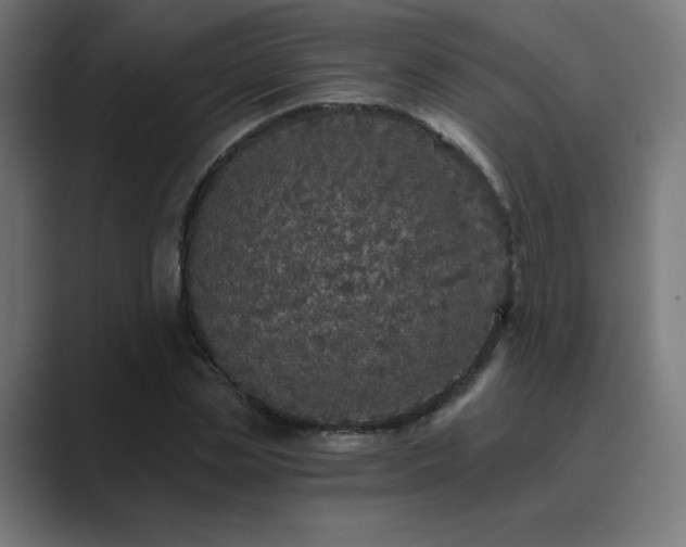X0000089960829200706291228