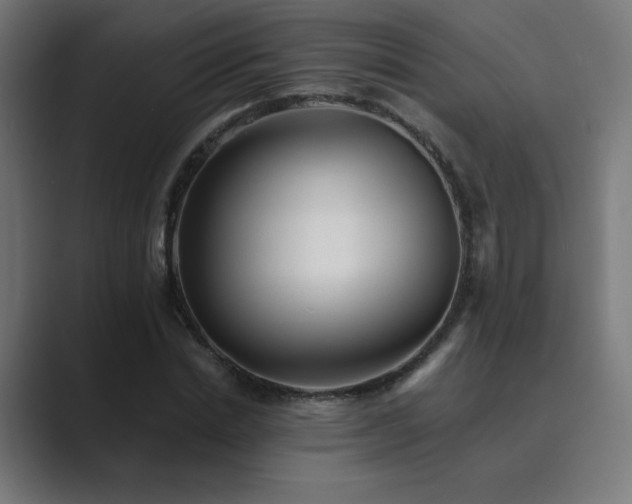 X0000089960830200706291228