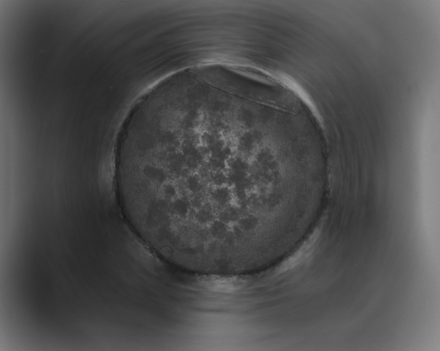 X0000089960831200706291228