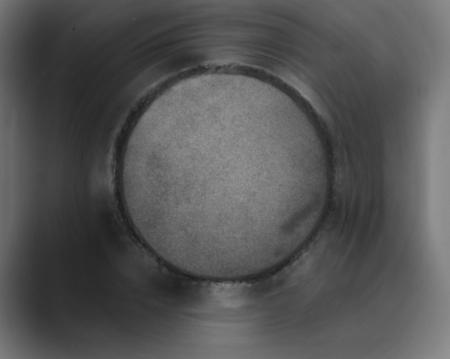 X0000089960832200706291228