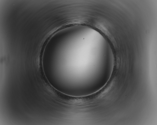 X0000089960834200706291228