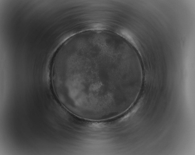 X0000089960835200706291228