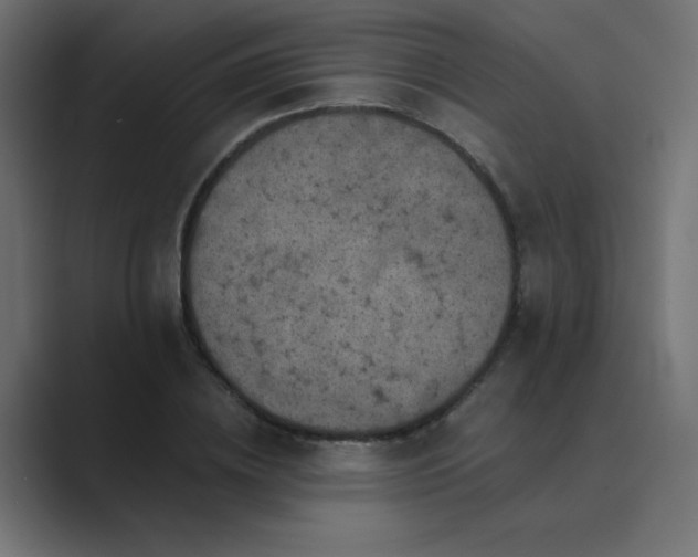X0000089960836200706291228