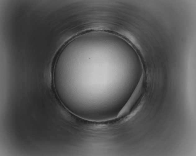 X0000089960837200706291228