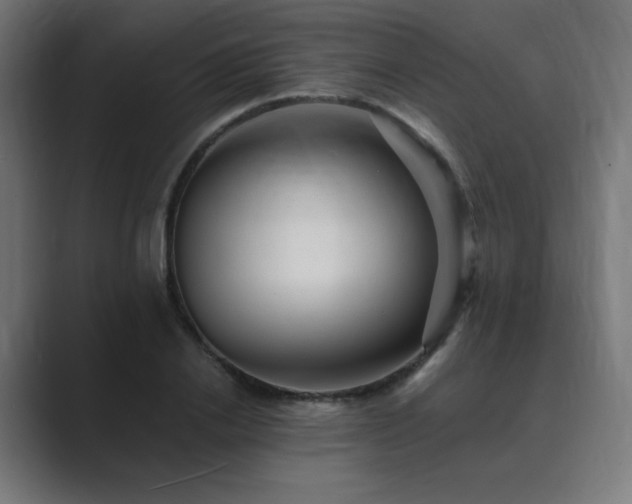 X0000089960838200706291228