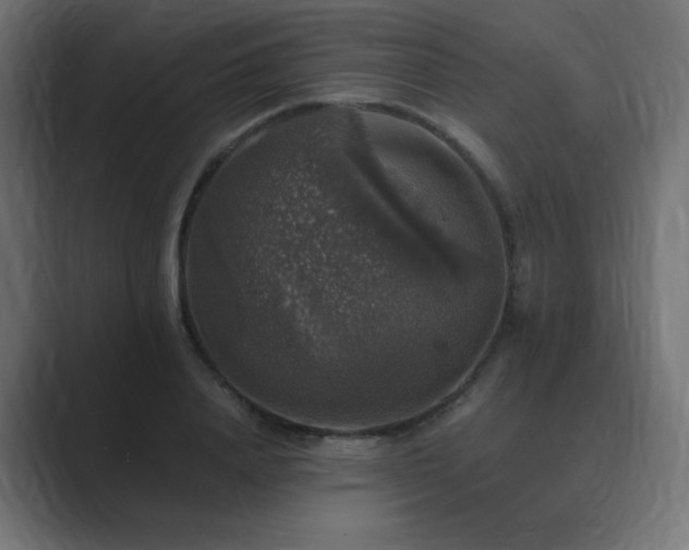 X0000089960840200706291228