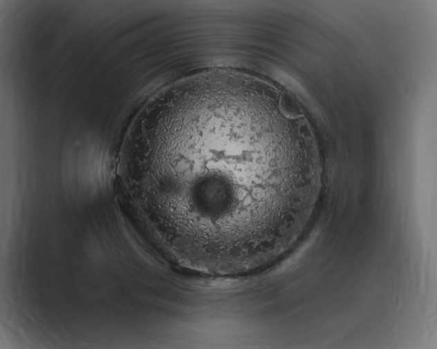 X0000089960841200706291228