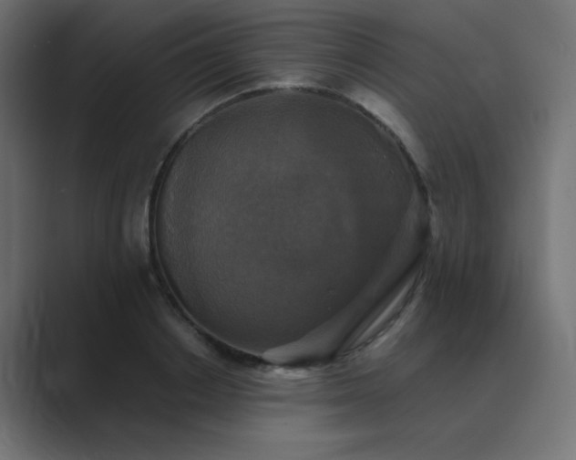 X0000089960842200706291228