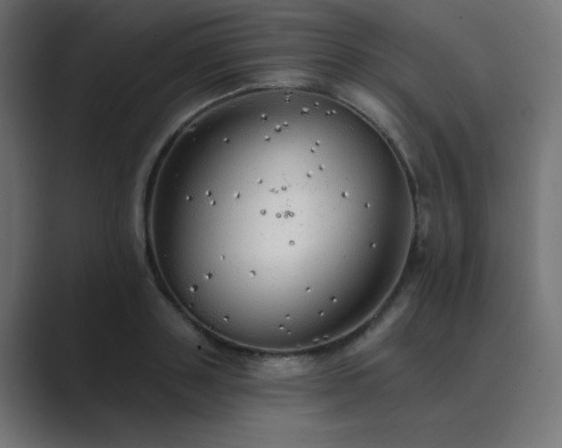 X0000089960843200706291228