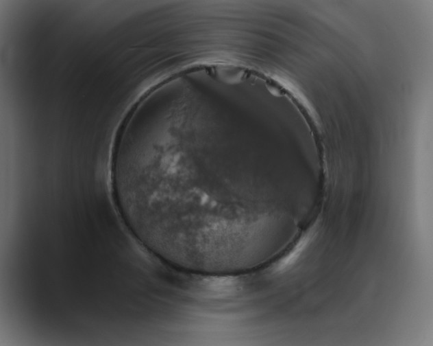 X0000089960845200706291228