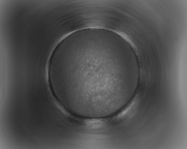 X0000089960846200706291228