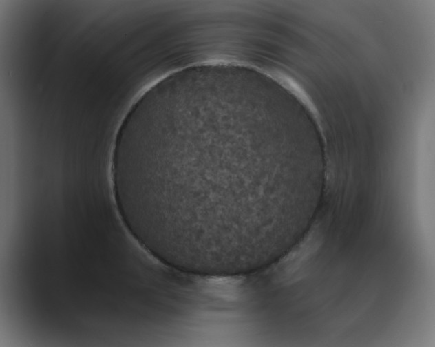 X0000089960847200706291228