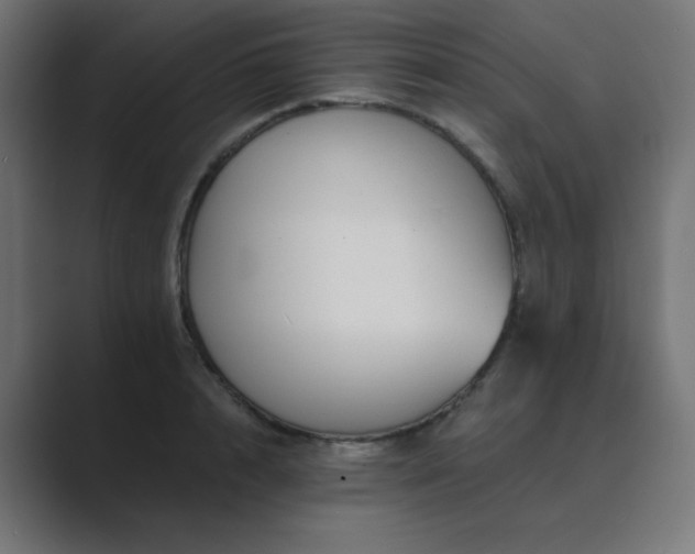 X0000089960848200706291228