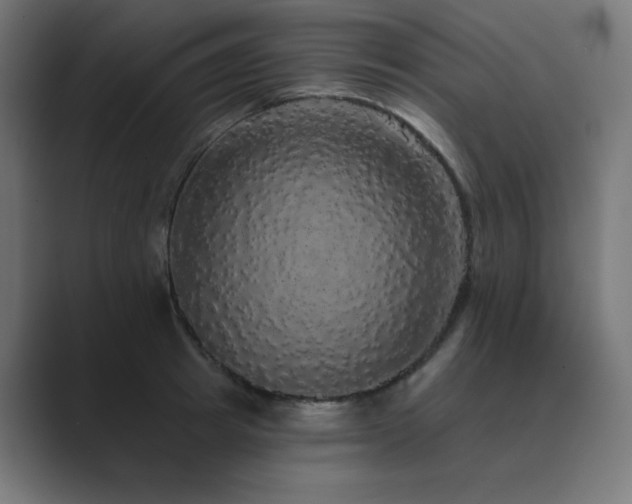 X0000089960849200706291228