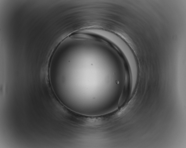 X0000089960850200706291228