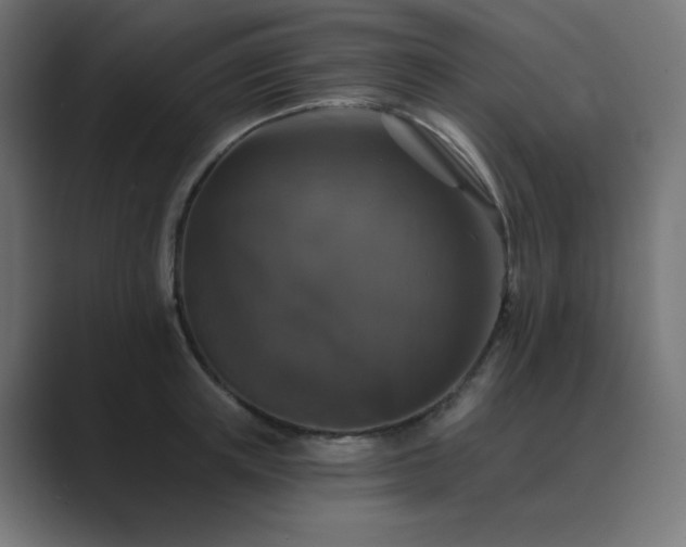 X0000089960851200706291228