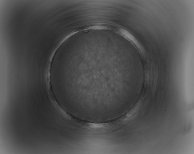 X0000089960852200706291228