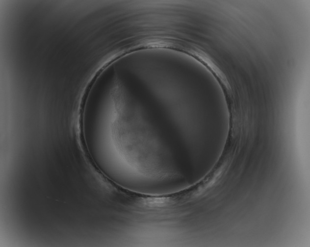X0000089960853200706291228