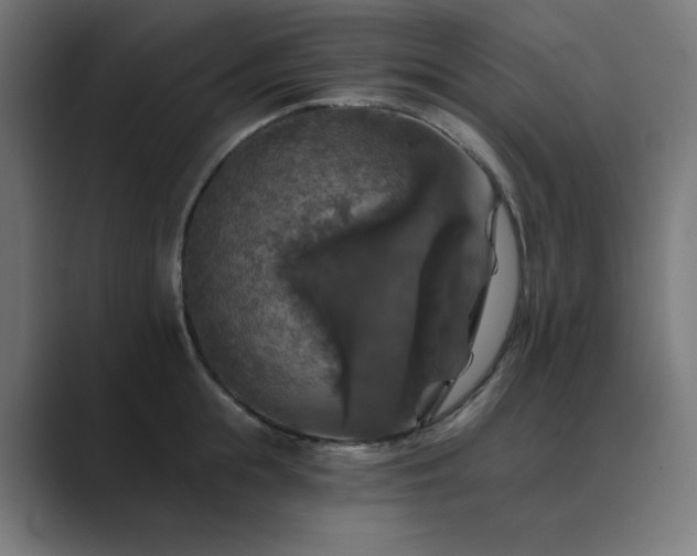 X0000089960855200706291228