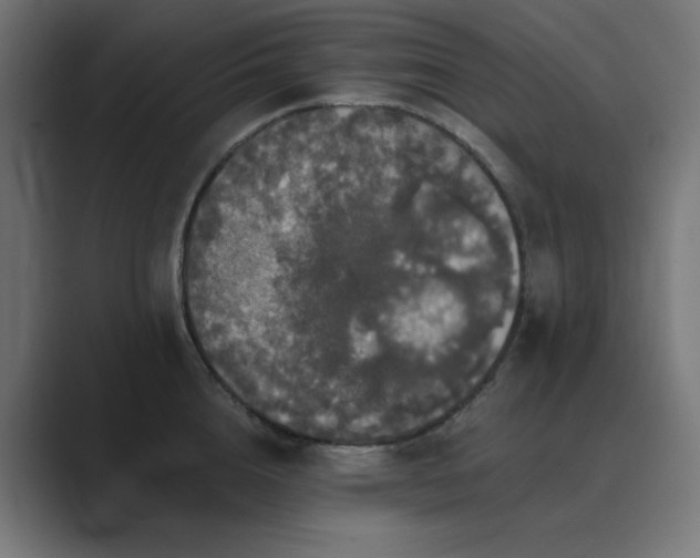 X0000089960856200706291228