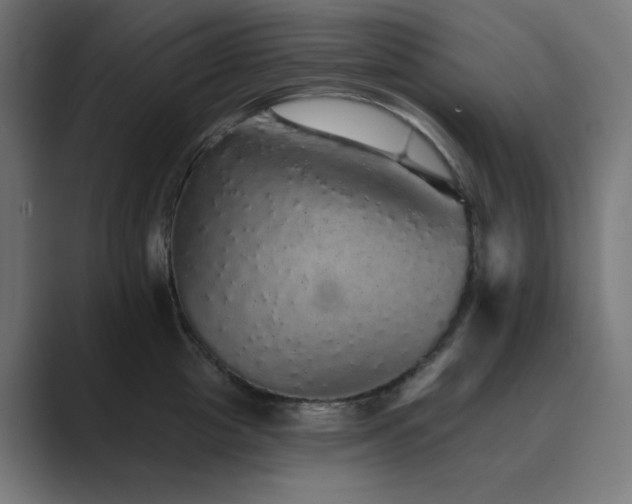 X0000089960857200706291228