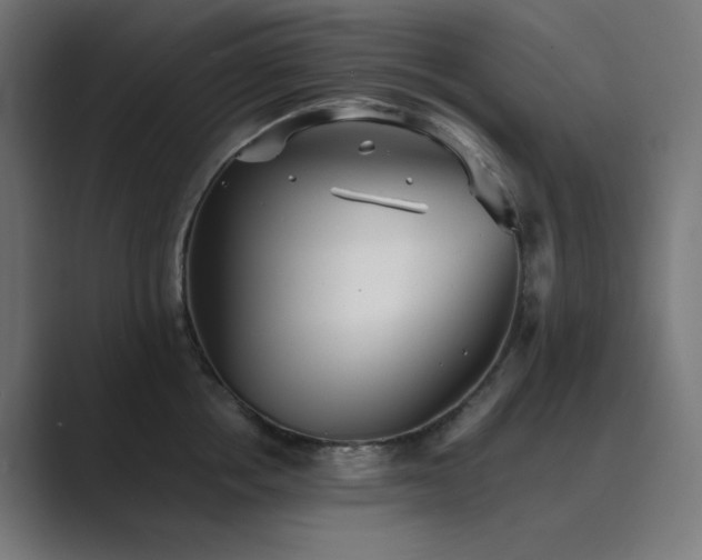 X0000089960858200706291228