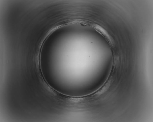 X0000089960860200706291228