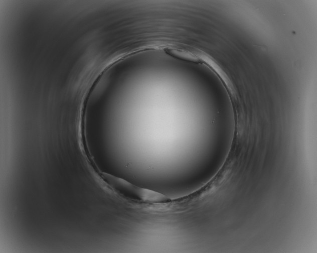 X0000089960861200706291228