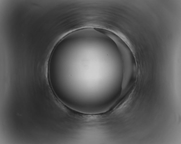 X0000089960862200706291228