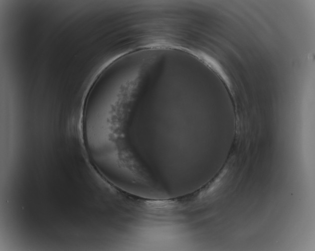 X0000089960863200706291228