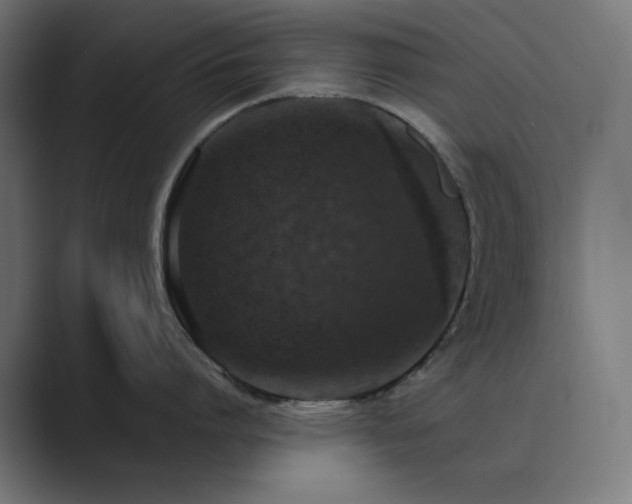 X0000089960864200706291228