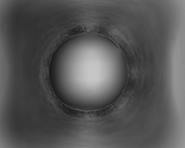 X0000089960865200706291228