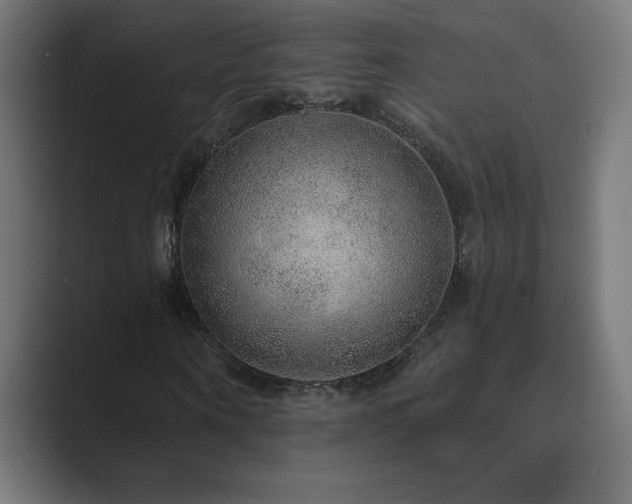X0000089960866200706291228