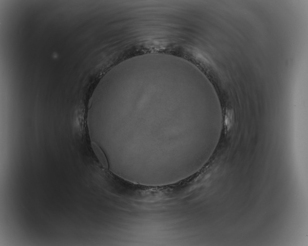 X0000089960867200706291227