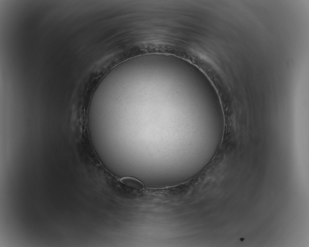X0000089960870200706291227