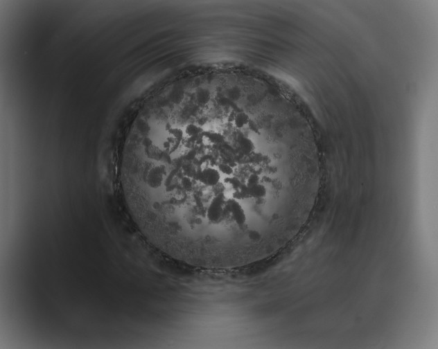 X0000089960871200706291227