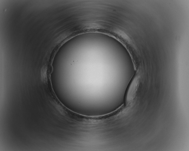 X0000089960873200706291227