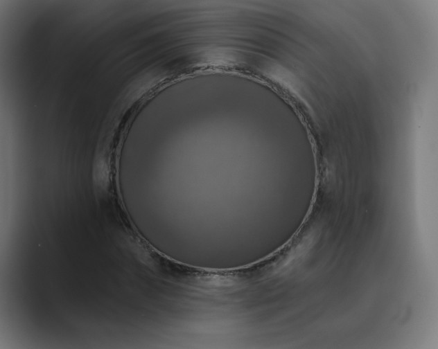X0000089960874200706291227