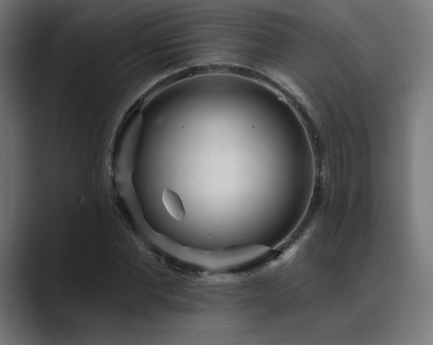 X0000089960877200706291227