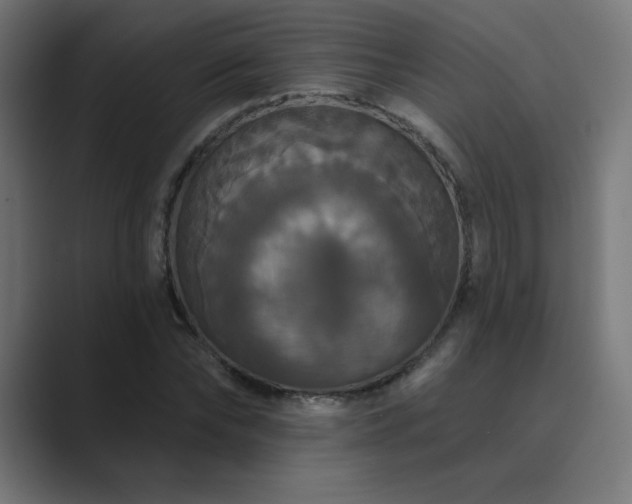 X0000089960878200706291227