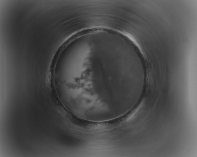X0000089960879200706291227