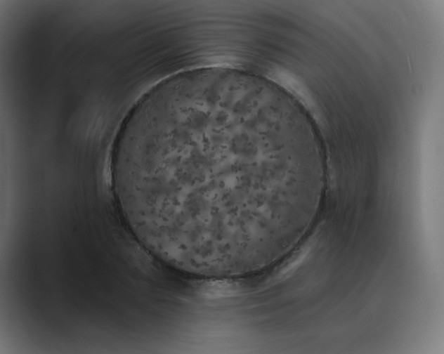 X0000089960883200706291227