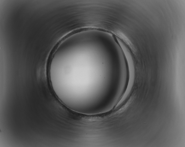 X0000089960884200706291227