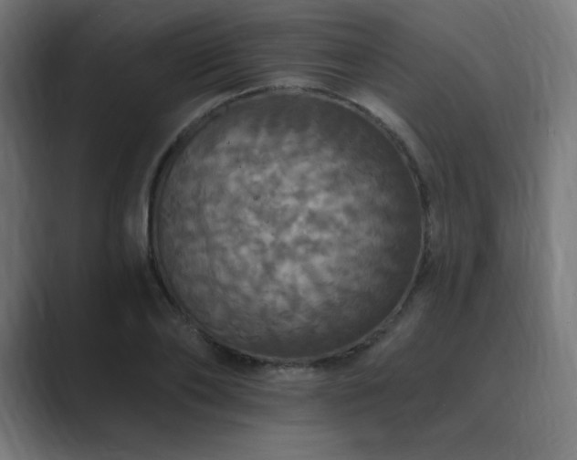 X0000089960886200706291227