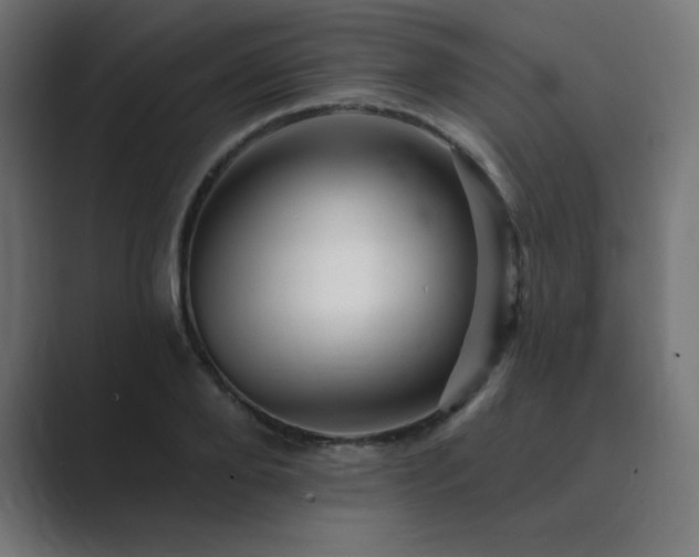 X0000089960888200706291227