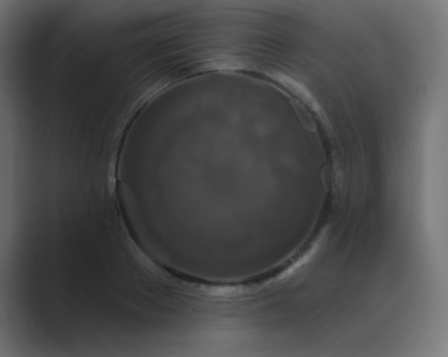 X0000089960889200706291227